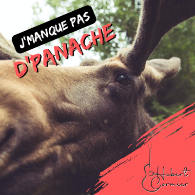 J'manque pas d'panache