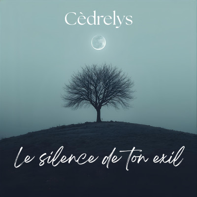 Le silence de ton exil
