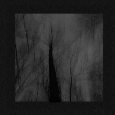 La maladie du bonheur