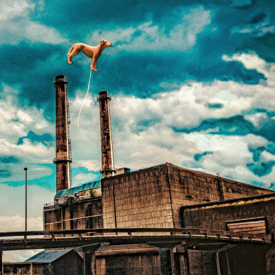 Éloge de la chute