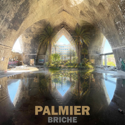 Palmier (r.e)