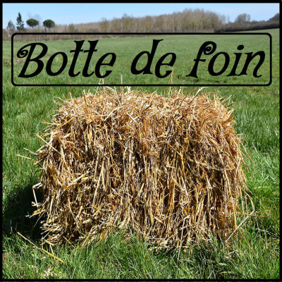Ch'val de fer